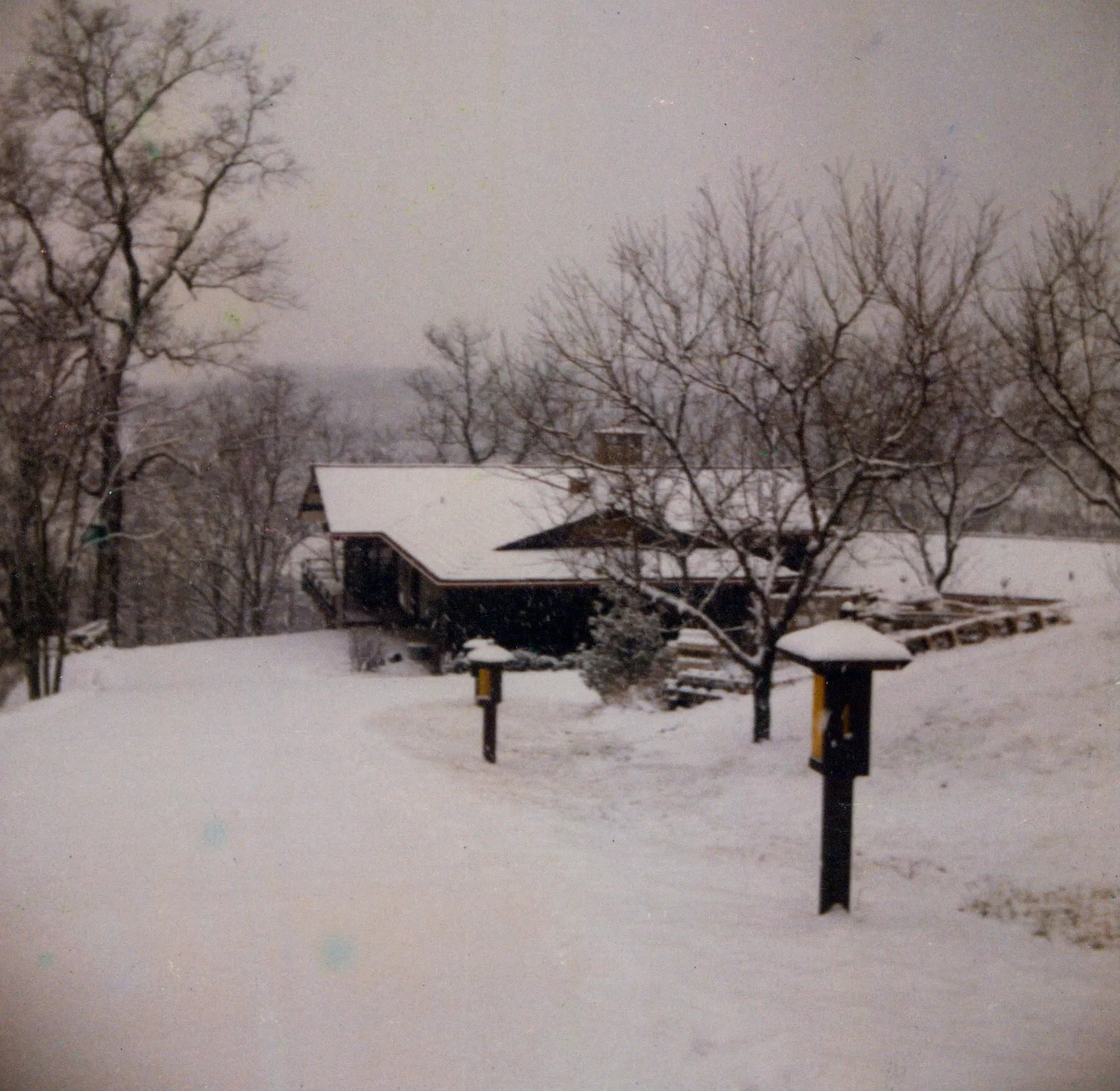 <strong>The house in winter, from the driveway.</strong> The long low ranch of Will's design with snow on the roof and snow across the surrounding hills, two bird feeders catching the foreground, the ridge dropping away to the right. The view a returning family member would have driving up the long approach to the house through the woods.