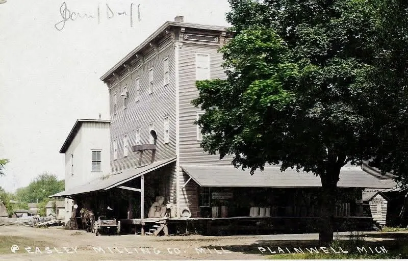 A 1911 real-photo postcard, colorized, captioned “EESLEY MILLING CO. MILL, PLAINWELL, MICH.” — a tall clapboard mill with post-supported awnings over loading platforms stacked with cans and crates, a horse and wagon at the near corner, and a large tree at the right.