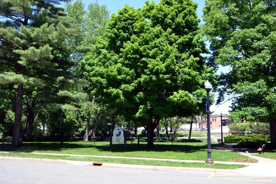 Hicks Park as it stands today, from Allegan Street — the city sign under the maples, lamp posts, benches, and the downtown brick storefronts across the far edge. The triangle is still a triangle.
